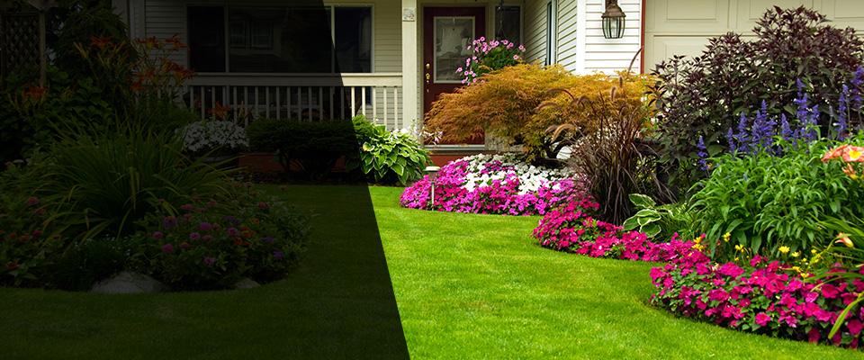 Quinton Landscapers
