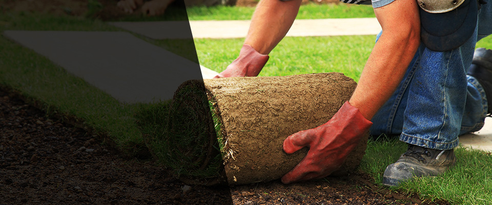 Quinton Landscapers